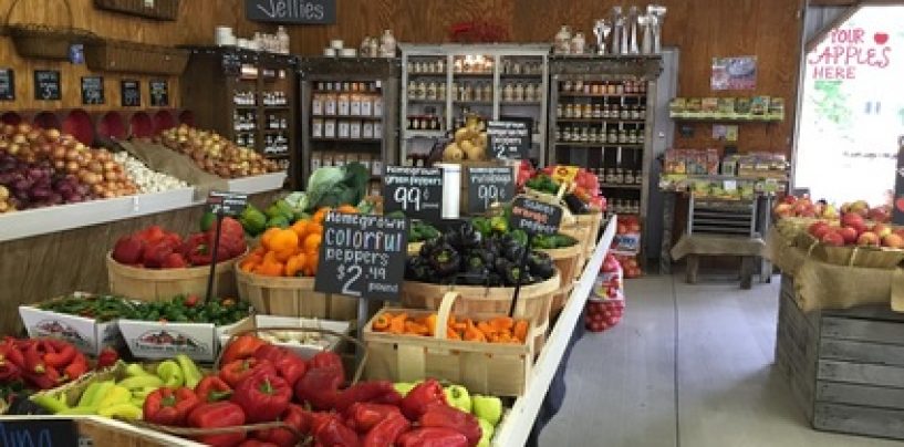 Rural Microentrepreneur Assistance Program Provides Funds to Rural Businesses