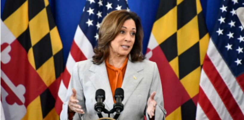 Harris Warns Against Exploitation as Hurricane Milton Approaches and Helene’s Lingering Impact