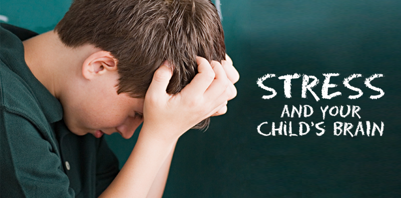 Extreme Stress During Childhood Can Hurt Social Learning for Years to Come