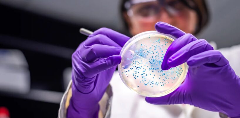 Superbugs Are Getting Stronger; Our Defenses Are Getting Weaker