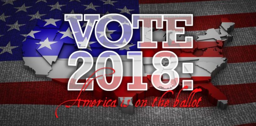 Vote 2018 – America Is on the Ballot – Too Much at Stake to Simply Ignore